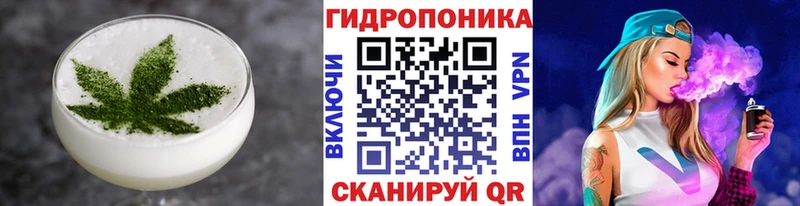 мега онион  Чита  Cannafood марихуана  что такое  