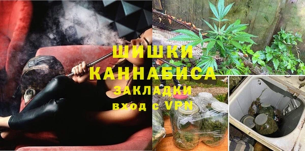PSILOCYBIN Инсар