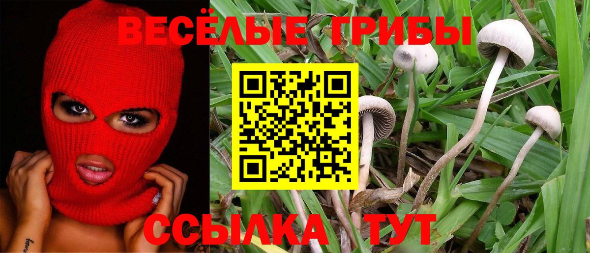 Галлюциногенные грибы мухоморы  Вход с VPN  Чита 
